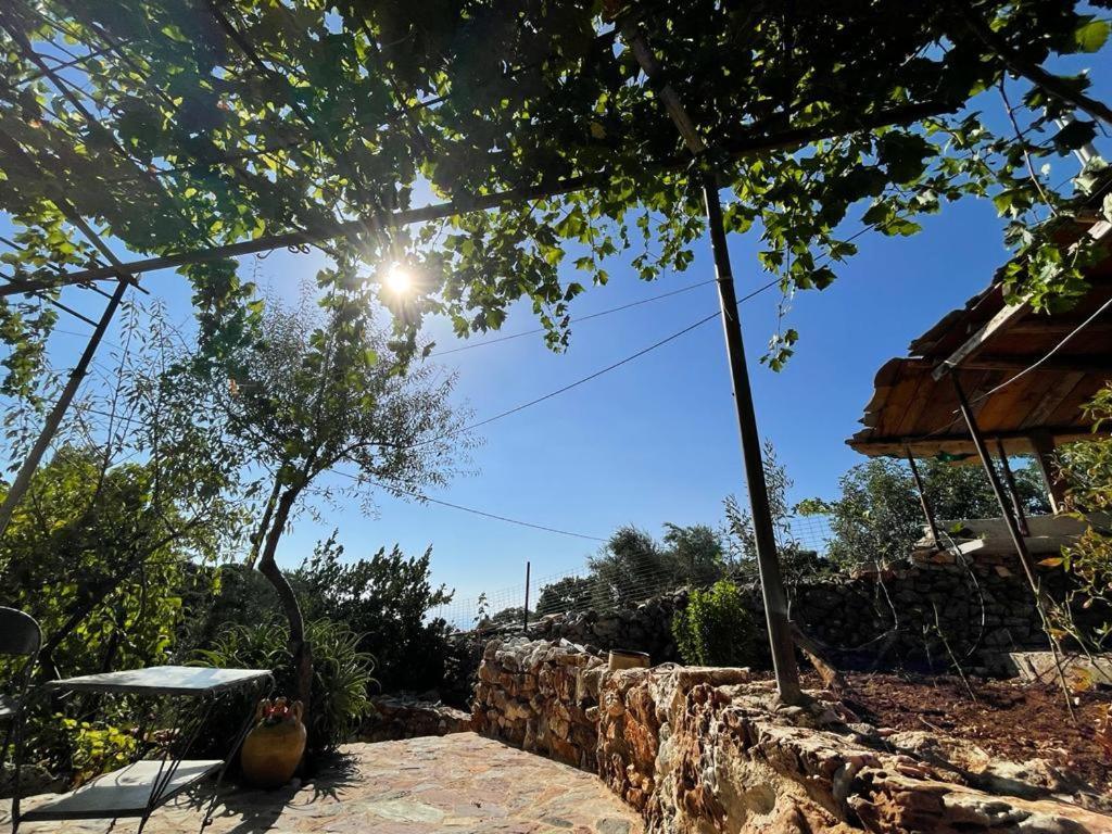 Find Your Peace In A Traditional Country House!! Láyia Dış mekan fotoğraf