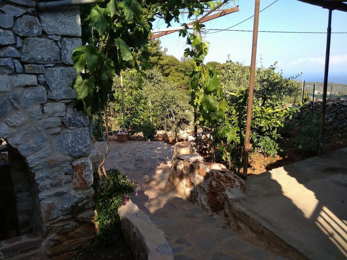 Find Your Peace In A Traditional Country House!! Láyia Dış mekan fotoğraf