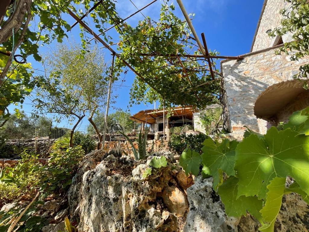 Find Your Peace In A Traditional Country House!! Láyia Dış mekan fotoğraf