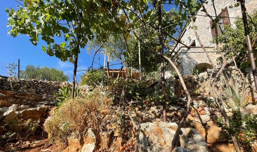 Find Your Peace In A Traditional Country House!! Láyia Dış mekan fotoğraf